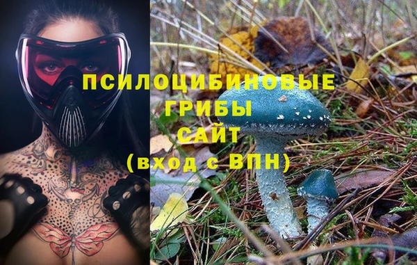 2c-b Бугульма