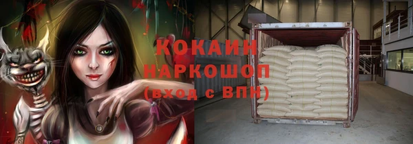 гидра Бронницы