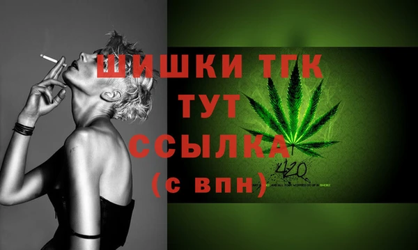 mix Бородино
