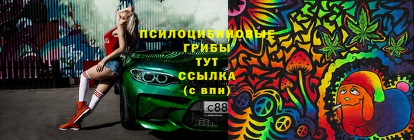 гидра Бронницы