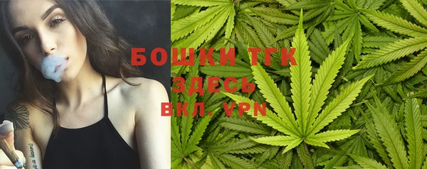 гидра Бронницы