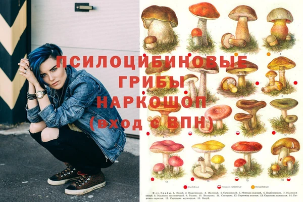 гидра Бронницы