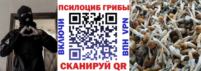 Галлюциногенные грибы мухоморы Кохма